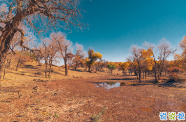 給熱戀中的你們講的道理 句句都是精髓 2