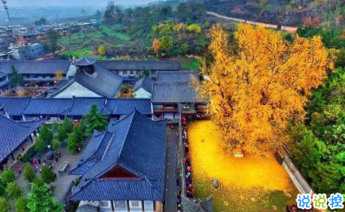 寫(xiě)給自己的人生勵(lì)志名言語(yǔ)錄 每個(gè)人都有他與生俱來(lái)的特質(zhì)1