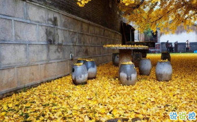 寫(xiě)給自己的人生勵(lì)志名言語(yǔ)錄 每個(gè)人都有他與生俱來(lái)的特質(zhì)3