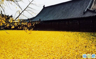 寫(xiě)給自己的人生勵(lì)志名言語(yǔ)錄 每個(gè)人都有他與生俱來(lái)的特質(zhì)4