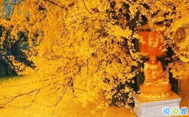 寫(xiě)給自己的人生勵(lì)志名言語(yǔ)錄 每個(gè)人都有他與生俱來(lái)的特質(zhì)5