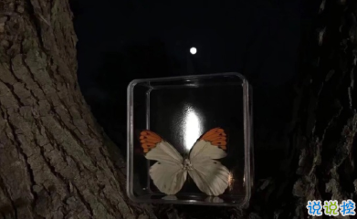 寫(xiě)給自己的人生勵(lì)志名言語(yǔ)錄 每個(gè)人都有他與生俱來(lái)的特質(zhì)10