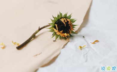 寫(xiě)給自己的人生勵(lì)志名言語(yǔ)錄 每個(gè)人都有他與生俱來(lái)的特質(zhì)14