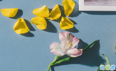 寫(xiě)給自己的人生勵(lì)志名言語(yǔ)錄 每個(gè)人都有他與生俱來(lái)的特質(zhì)15