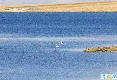 微博收集的最新發(fā)朋友圈的憨憨句子 你是上天派來(lái)的豬1