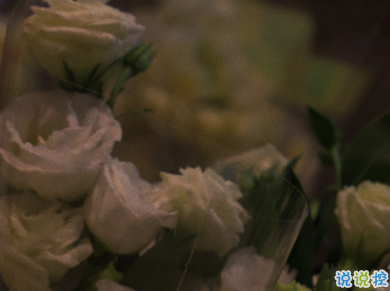 15條浪漫的詩(shī)意愛(ài)情句子 愛(ài)意卻是腦海一閃而過(guò)的善意8