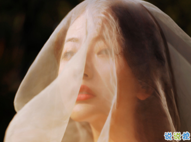 15條浪漫的詩(shī)意愛(ài)情句子 愛(ài)意卻是腦海一閃而過(guò)的善意9