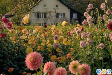 宮崎駿千與千尋里的經(jīng)典語錄 人生要走的方向正確6