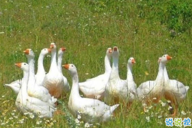 宮崎駿千與千尋里的經(jīng)典語錄 人生要走的方向正確8