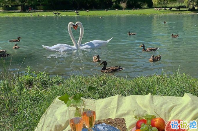 宮崎駿千與千尋里的經(jīng)典語錄 人生要走的方向正確9