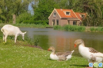 宮崎駿千與千尋里的經(jīng)典語錄 人生要走的方向正確11