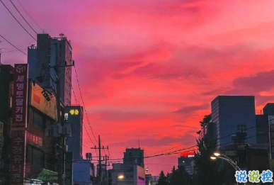 宮崎駿千與千尋里的經(jīng)典語錄 人生要走的方向正確15