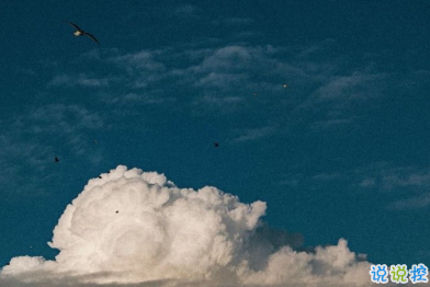 生活中人際交往的道理 知乎上很火的句子2