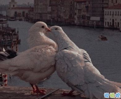 讀起來壓抑想哭的句子 網(wǎng)易云傷感文案2