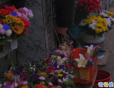 每日書摘精選的個性文案 幸福是生生不息8