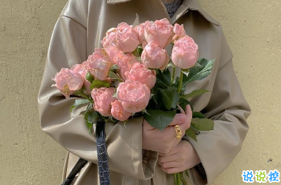 2020霜降節(jié)氣有趣問候語 祝你美麗心情亮1