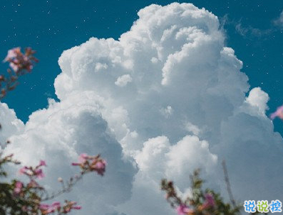 一眼就喜歡的發(fā)朋友圈小句子 吸睛的朋友圈小句子2