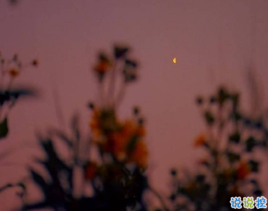 一眼就喜歡的發(fā)朋友圈小句子 吸睛的朋友圈小句子8