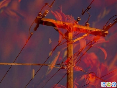 一眼就喜歡的發(fā)朋友圈小句子 吸睛的朋友圈小句子10