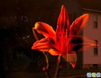 一眼就喜歡的發(fā)朋友圈小句子 吸睛的朋友圈小句子12