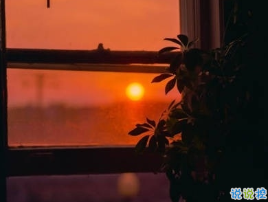 一眼就喜歡的發(fā)朋友圈小句子 吸睛的朋友圈小句子13