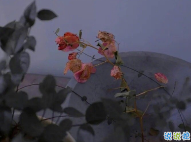 打工人有趣的早安問候文案 早安打工人1