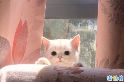 九九重陽節(jié)幸福文案 九九重陽幸福久久1