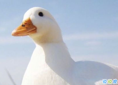 2020早安暖心正能量語錄 2020年只剩70天1