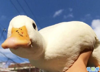 2020早安暖心正能量語錄 2020年只剩70天2