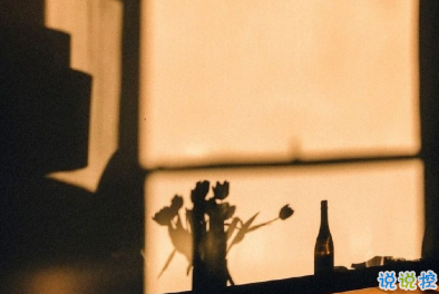 2020晚安的溫馨句子 我先睡了明天再想你15