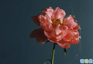 旅行時(shí)發(fā)的文藝簡(jiǎn)短句子 孤獨(dú)的人有他們自己的沼澤1