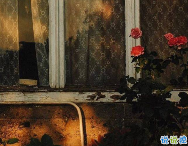 旅行時(shí)發(fā)的文藝簡(jiǎn)短句子 孤獨(dú)的人有他們自己的沼澤2