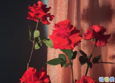 一看就心動(dòng)的抖音文案 最火抖音走心文案2