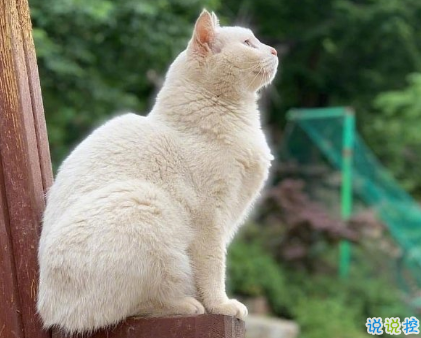 罵人不帶臟字的高質(zhì)量文案 沙雕搞笑的文案1