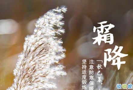 2020霜降早安祝福語 霜降已來臨寒冷問候您1