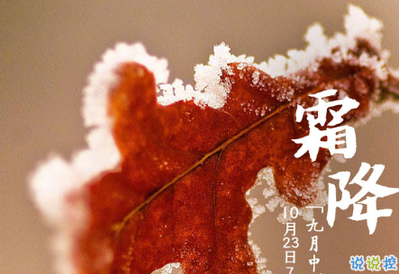 2020霜降早安祝福語 霜降已來臨寒冷問候您2