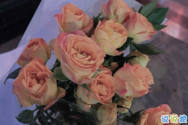 讓你一眼就能心動的圖片說說 清晨和夜晚都請用力去生活11