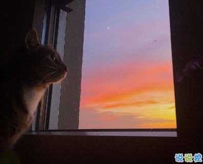 對(duì)異地的他表達(dá)思戀的句子  再相逢希望我們都在更高處 ????12