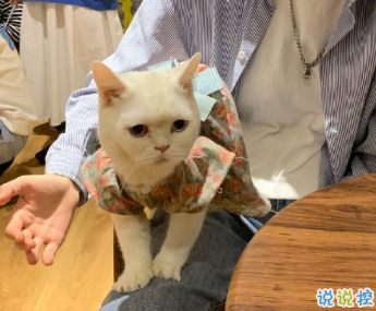 情侶公布戀情的高端的文案 有趣的朋友圈秀恩愛文案1