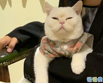 情侶公布戀情的高端的文案 有趣的朋友圈秀恩愛文案2