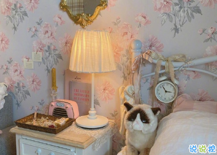 發(fā)朋友圈的高級(jí)感唯美說說 不愛孤單久也習(xí)5