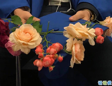  最高級的早安問候氣質(zhì)文案 暖心且正能量文案1