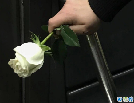  最高級的早安問候氣質(zhì)文案 暖心且正能量文案2