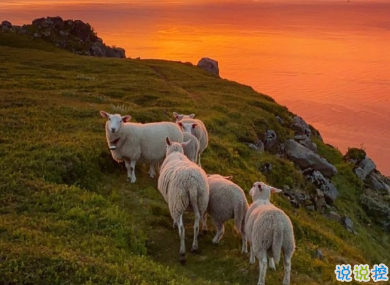 電影金剛川簡(jiǎn)短感人溫暖語(yǔ)錄 最讓人心疼的臺(tái)詞語(yǔ)錄7