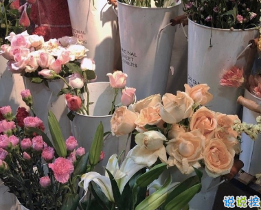 朋友圈爆笑可愛的自拍文案 讓人笑到停不下來的說說1