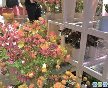 朋友圈爆笑可愛的自拍文案 讓人笑到停不下來的說說2