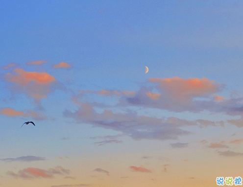 11月精選網(wǎng)易云扎心的文案說說 傷到心碎的朋友圈說說2