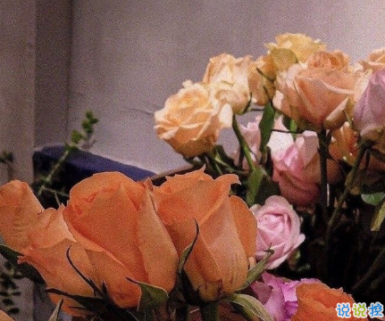 朋友圈可愛又特別撩的文案 微信撩妹技巧套路說說1