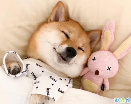 2021生活小細(xì)節(jié)很現(xiàn)實的說說 不要被生活細(xì)節(jié)打敗的句子2