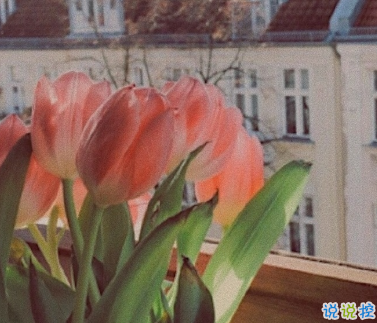 網(wǎng)易云刻骨銘心的浪漫的句子 讓人喜歡的最火句子1